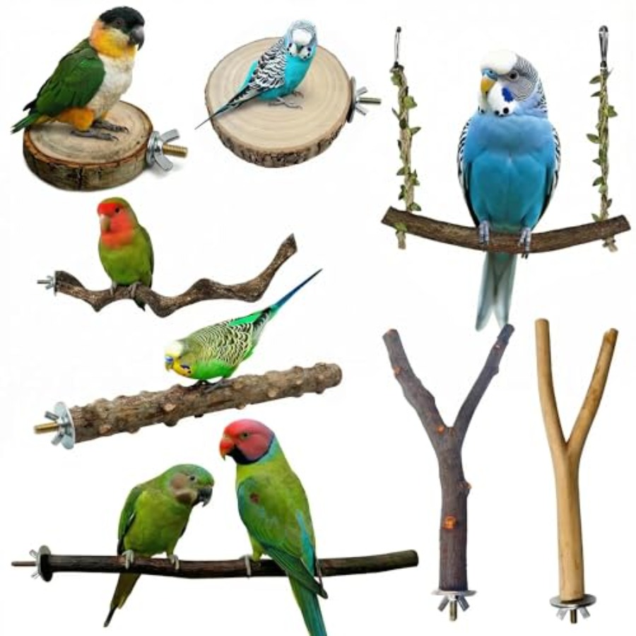 Health & Wellness Kuala Lumpur - 8PCS natural wood bird perches for