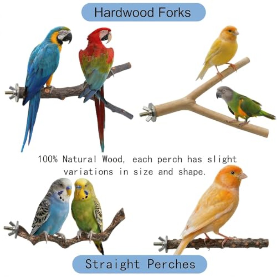 8PCS natural wood bird perches - огляд і ціна Health & Wellness Kuala Lumpur
