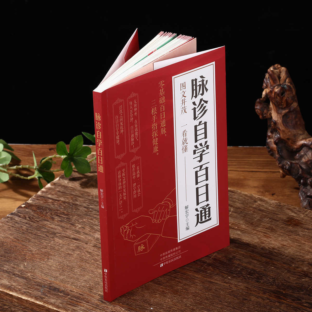 Pulse Diagnosis Self Study Hun - огляд і ціна Health & Wellness Kuala Lumpur